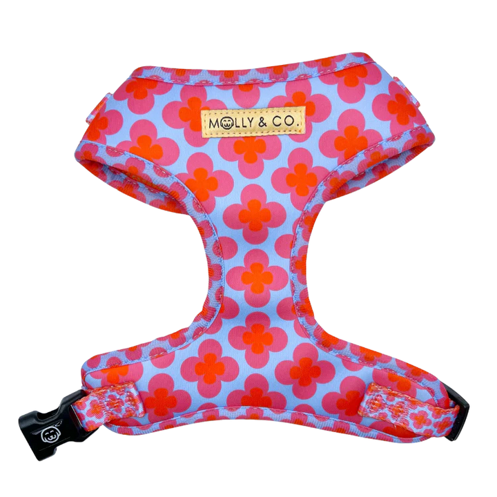 Venezia Collection Molly & Co.