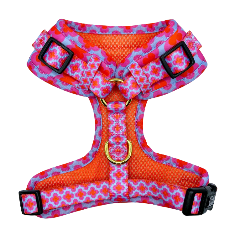 Venezia Collection Molly & Co.