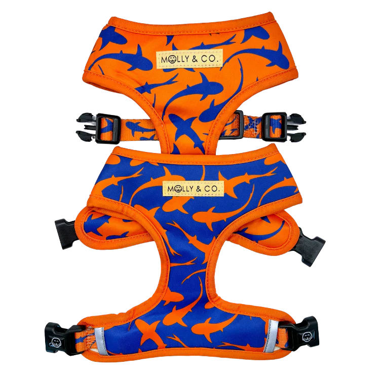 Sharks Harness - Molly & Co.