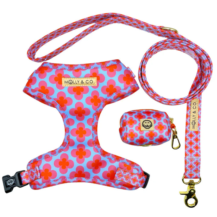 Venezia Collection Molly & Co.