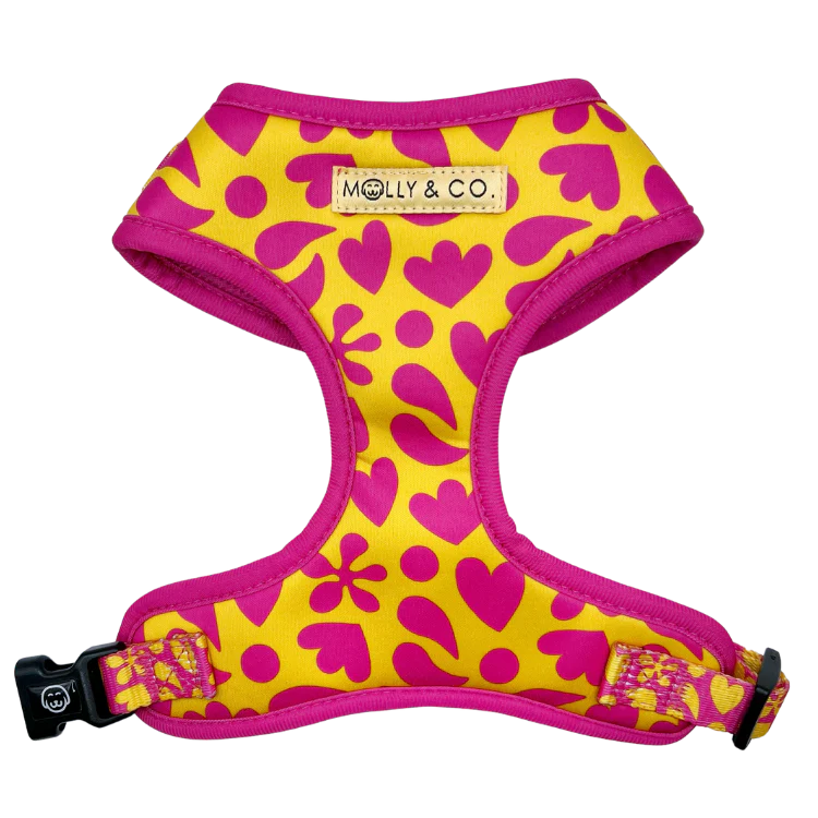 Sunny Vibes Collection - Molly & Co.