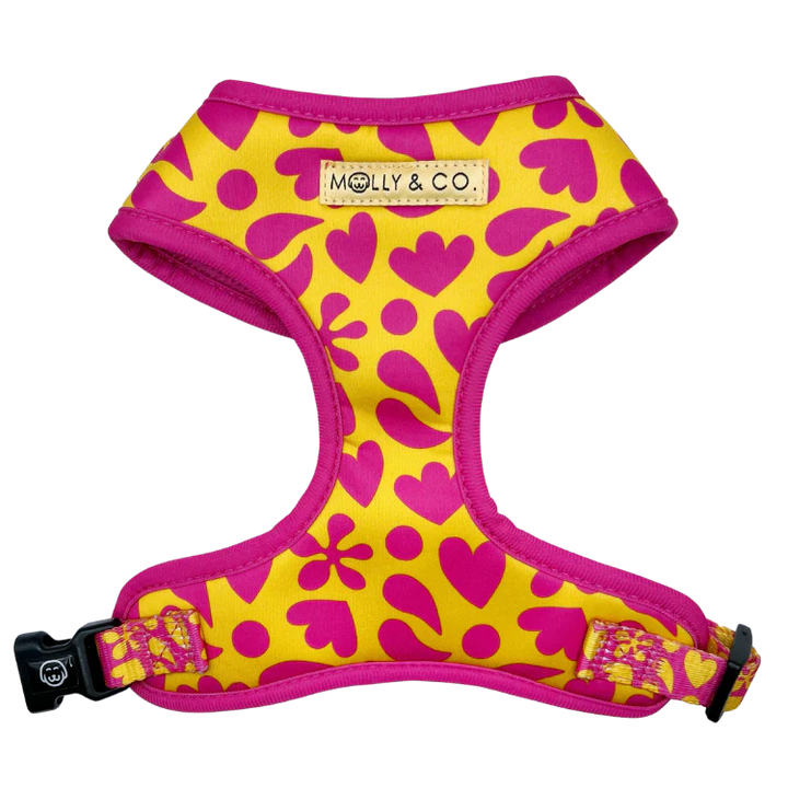 Sunny Vibes Collection - Molly & Co.