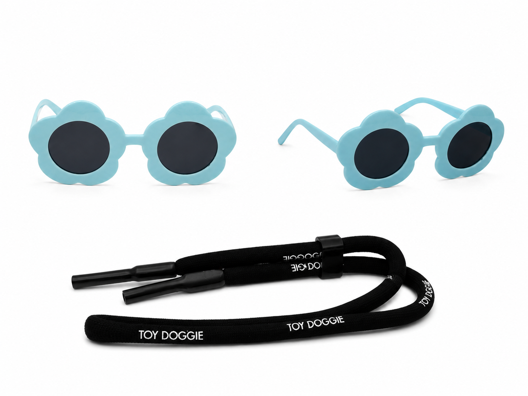 SUN GLASSES
