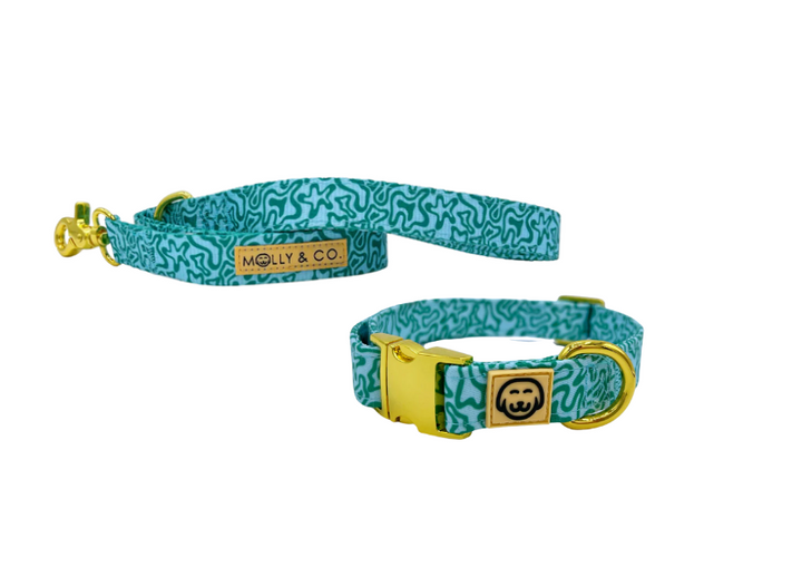Seaweed Collection Set Large - Molly & Co.