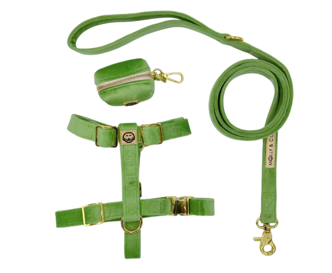 Fern Velvet Adjustable - Molly and Co.