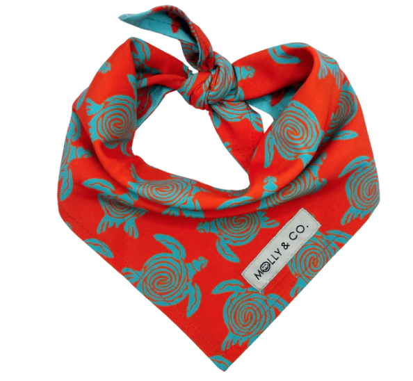 Turtle Trails- Reversible Dog Bandana