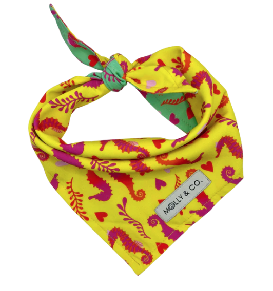 Sea Majesty - Reversible Dog Bandana