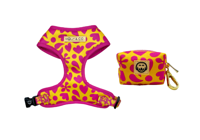 Sunny Vibes Collection - Molly & Co.