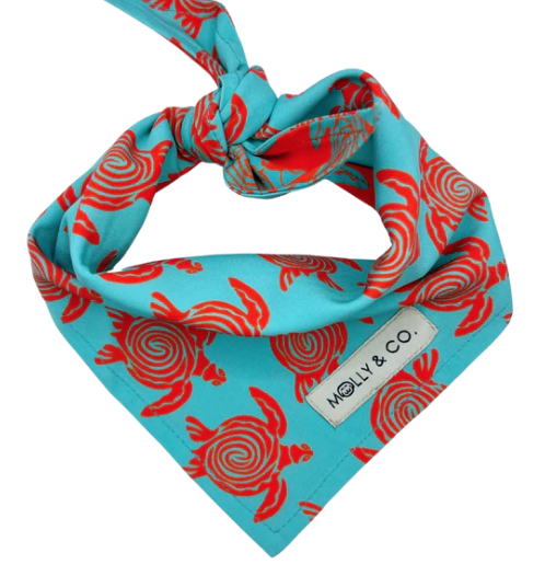 Turtle Trails- Reversible Dog Bandana